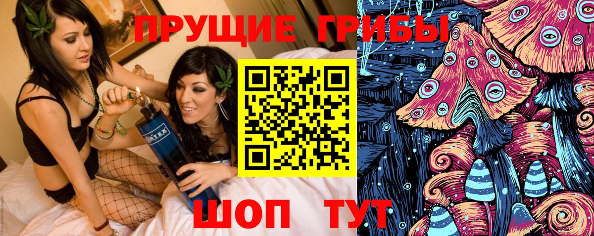 Галлюциногенные грибы Psilocybine cubensis  Галлюциногенные грибы мицелий  Скопин  Вход с VPN 